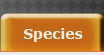 Birds os Prey Species