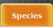 species
